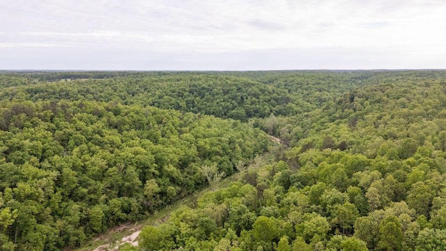 0000 County Road 3810, West Plains, MO 65775 - photo 108