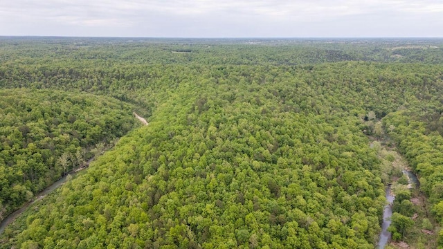 0000 County Road 3810, West Plains, MO 65775 - photo 120