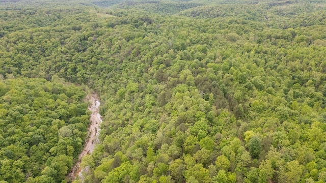 0000 County Road 3810, West Plains, MO 65775 - photo 115