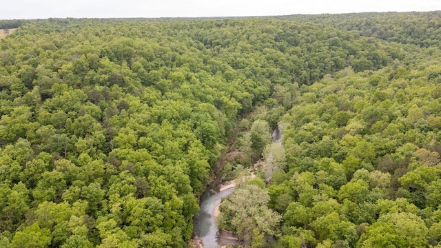 0000 County Road 3810, West Plains, MO 65775 - photo 100