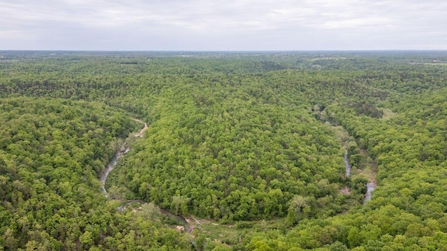 0000 County Road 3810, West Plains, MO 65775 - photo 119
