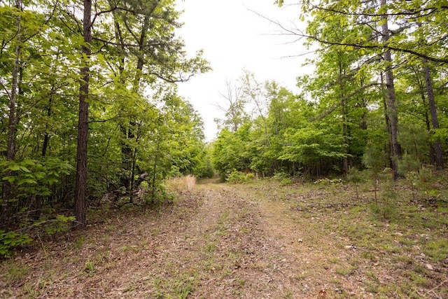 0000 County Road 3810, West Plains, MO 65775 - photo 30
