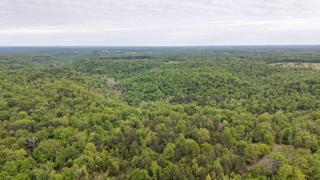 0000 County Road 3810, West Plains, MO 65775 - photo 113