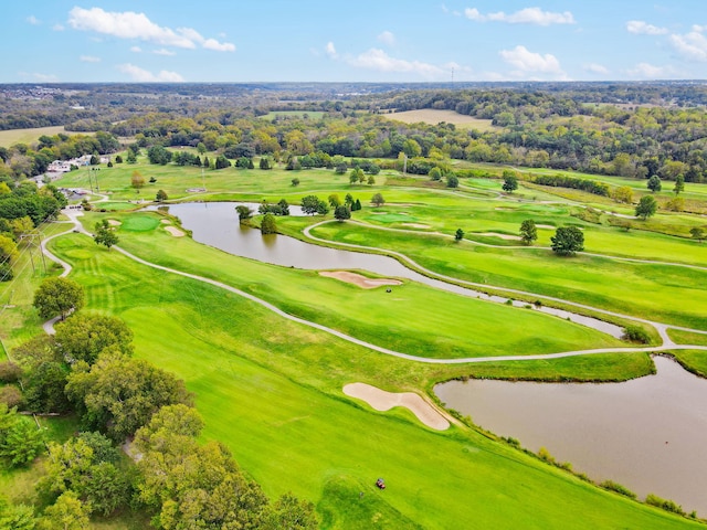 3260 W Rivulet Pass, Springfield, MO 65810 - aerial view of a nearby body of water