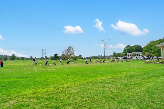 3260 W Rivulet Pass, Springfield, MO 65810 - surrounding community with a yard
