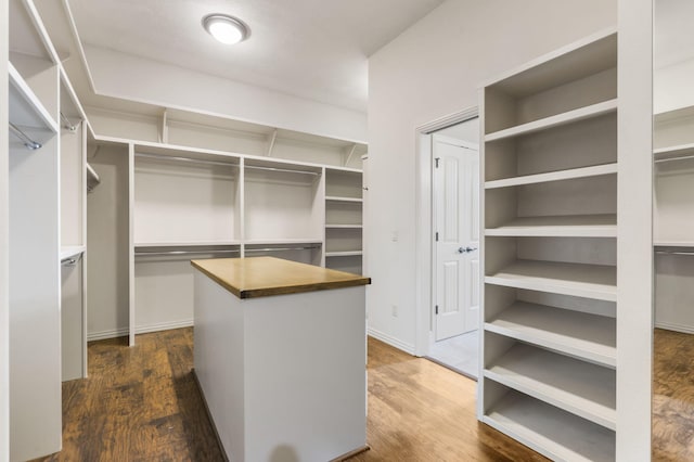 3260 W Rivulet Pass, Springfield, MO 65810 - spacious closet with dark wood finished floors