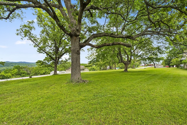 191 State Highway Y, Forsyth, MO 65653 - view of grassy yard