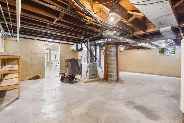 191 State Highway Y, Forsyth, MO 65653 - below grade area with heating unit