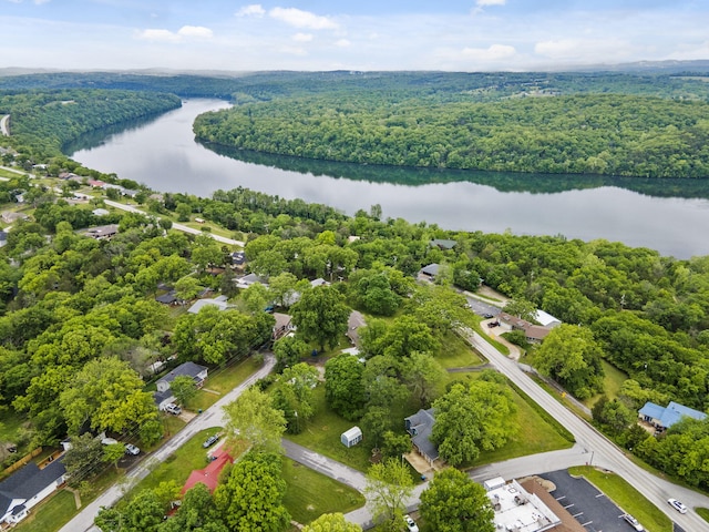191 State Highway Y, Forsyth, MO 65653 - bird's eye view of a nearby body of water and a forest