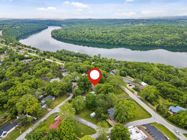 191 State Highway Y, Forsyth, MO 65653 - bird's eye view of a large body of water and a heavily wooded area