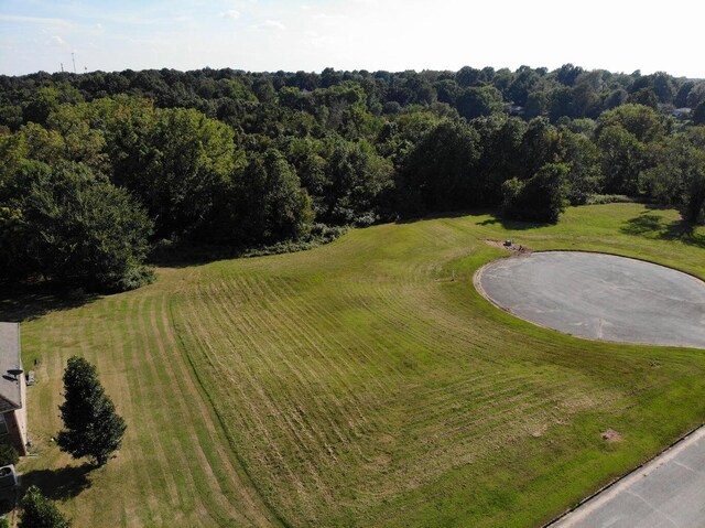 LOT10 Fox Haven Dr, Mount Vernon, MO 65712 - photo 4