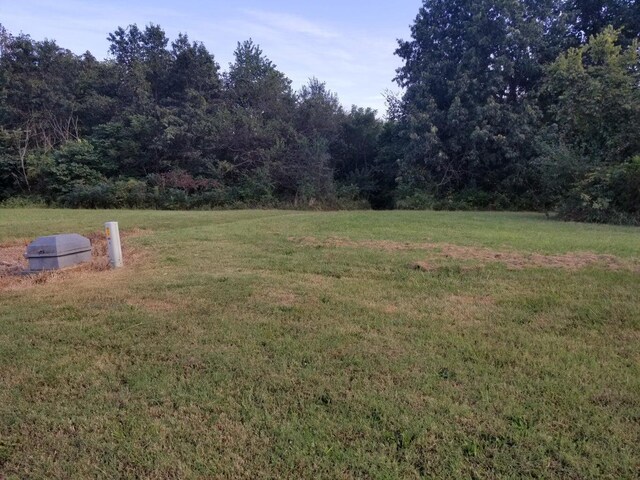 LOT10 Fox Haven Dr, Mount Vernon, MO 65712 - photo 3