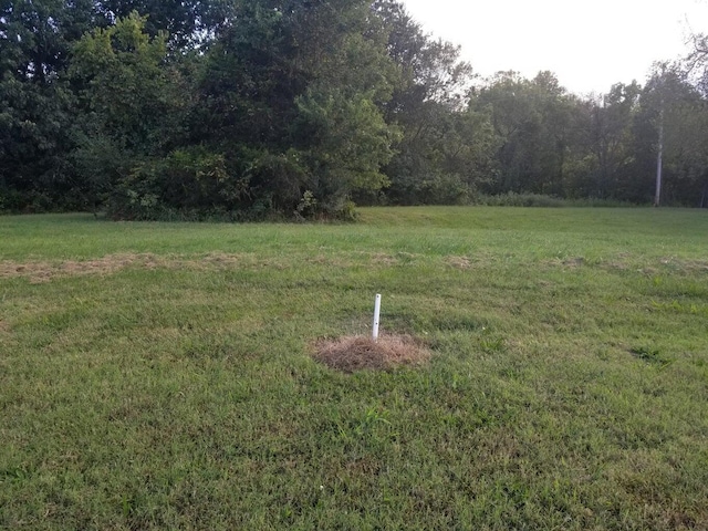 LOT10 Fox Haven Dr, Mount Vernon, MO 65712 - photo 2