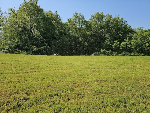 LOT10 Fox Haven Dr, Mount Vernon, MO 65712 - photo 1