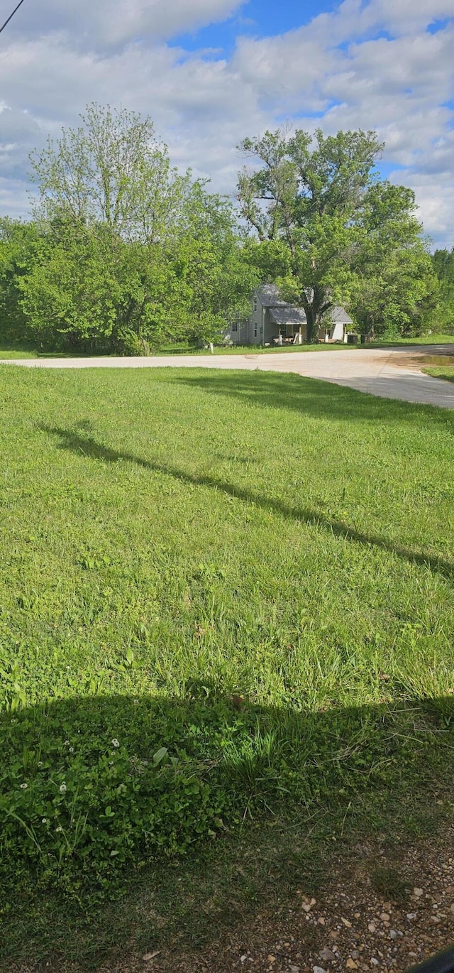 310 Gulf St, Walnut Grove, MO 65770