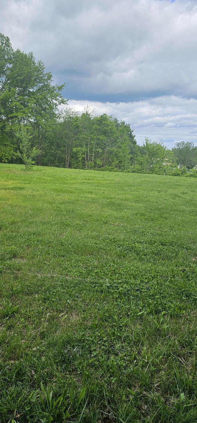 310 Gulf St, Walnut Grove, MO 65770