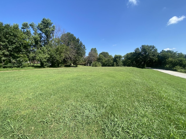 310 Gulf St, Walnut Grove, MO 65770 - photo 1