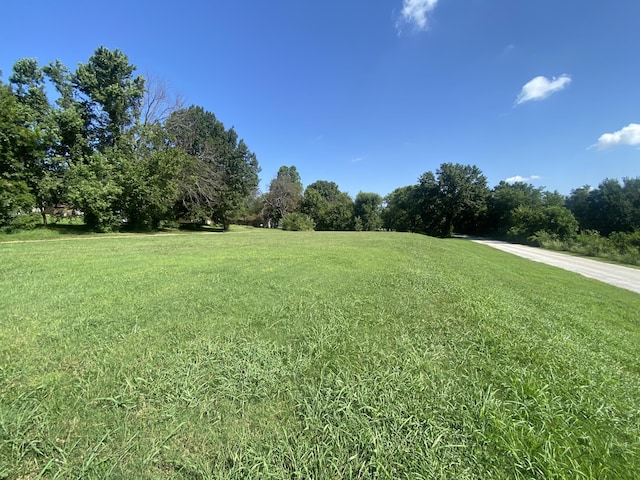 310 Gulf St, Walnut Grove, MO 65770 - photo 2