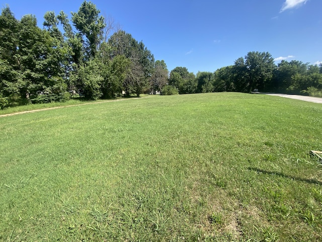 310 Gulf St, Walnut Grove, MO 65770 - photo 3