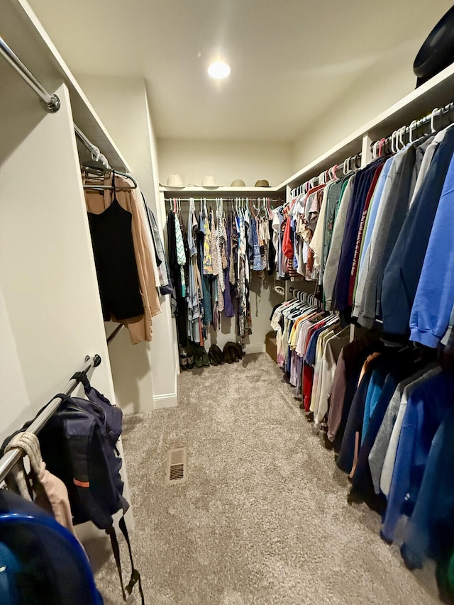 spacious closet with carpet floors