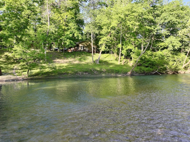 1424 Brown Rd, Van Buren, MO 63965 - water view
