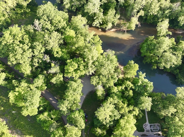 1424 Brown Rd, Van Buren, MO 63965 - aerial overview of property's location