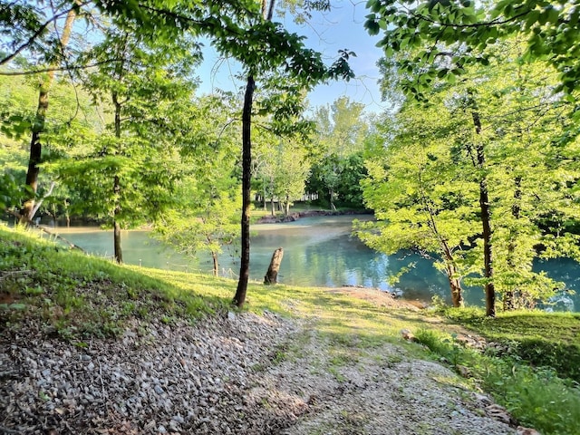1424 Brown Rd, Van Buren, MO 63965 - water view