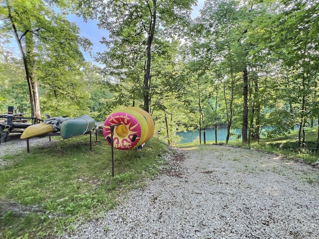 1424 Brown Rd, Van Buren, MO 63965 - view of home's community with a water view