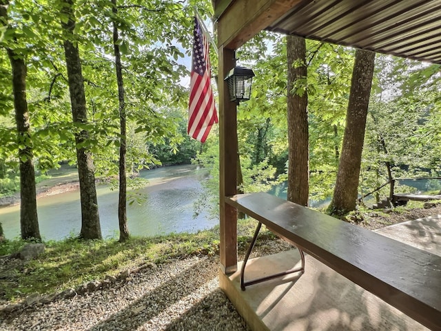 1424 Brown Rd, Van Buren, MO 63965 - water view
