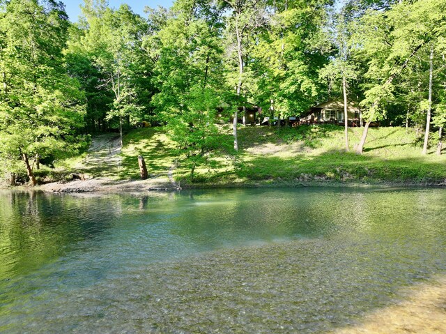 1424 Brown Rd, Van Buren, MO 63965 - water view featuring a forest