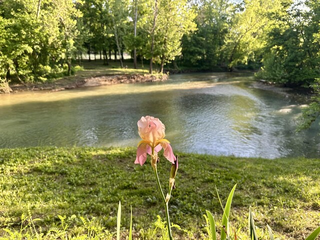 1424 Brown Rd, Van Buren, MO 63965 - water view