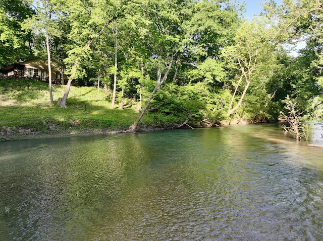 1424 Brown Rd, Van Buren, MO 63965 - water view