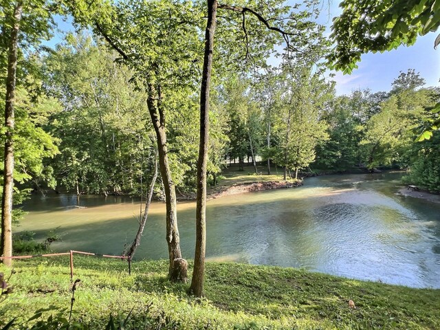 1424 Brown Rd, Van Buren, MO 63965 - water view