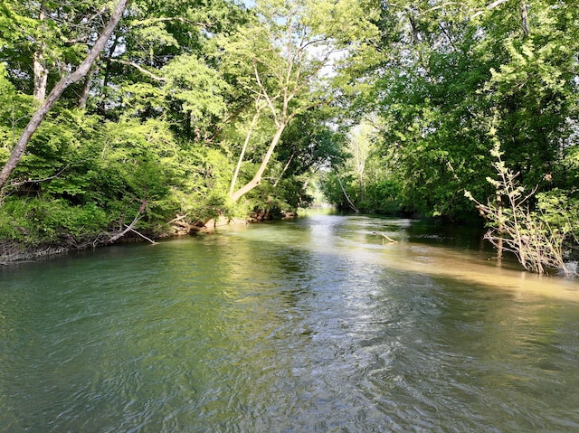 1424 Brown Rd, Van Buren, MO 63965 - water view