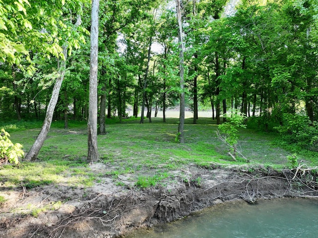 1424 Brown Rd, Van Buren, MO 63965 - view of local wilderness