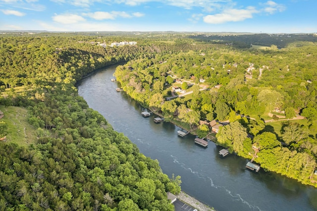 77 Anglers Pointe Unit 4, Branson, MO 65616 - aerial view of property and surrounding area with a large body of water and a forest