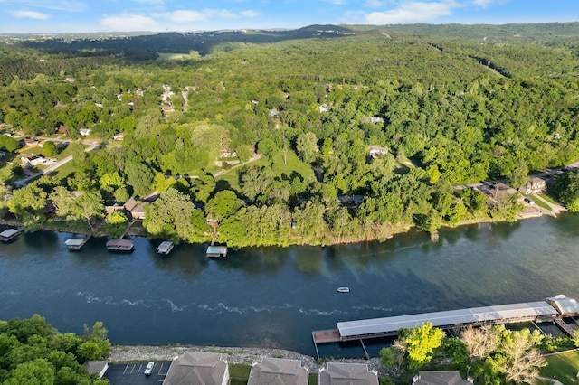 77 Anglers Pointe Unit 4, Branson, MO 65616 - view of property location with a forest and a large body of water