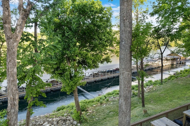 77 Anglers Pointe Unit 4, Branson, MO 65616 - water view