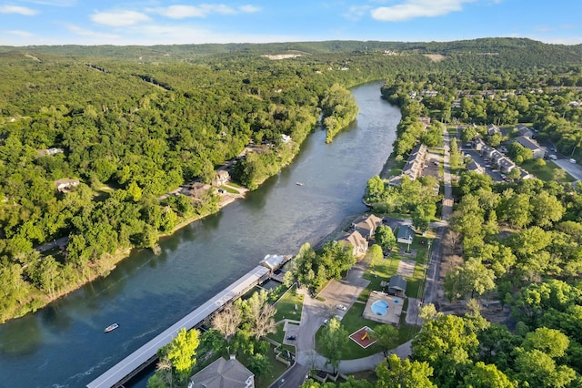 77 Anglers Pointe Unit 4, Branson, MO 65616 - view of property location with a forest and a large body of water