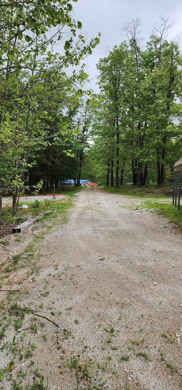 19879 Farm Rd Unit 1043, Exeter, MO 65647 - view of street