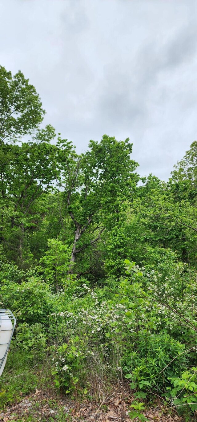 19879 Farm Rd Unit 1043, Exeter, MO 65647 - view of woods