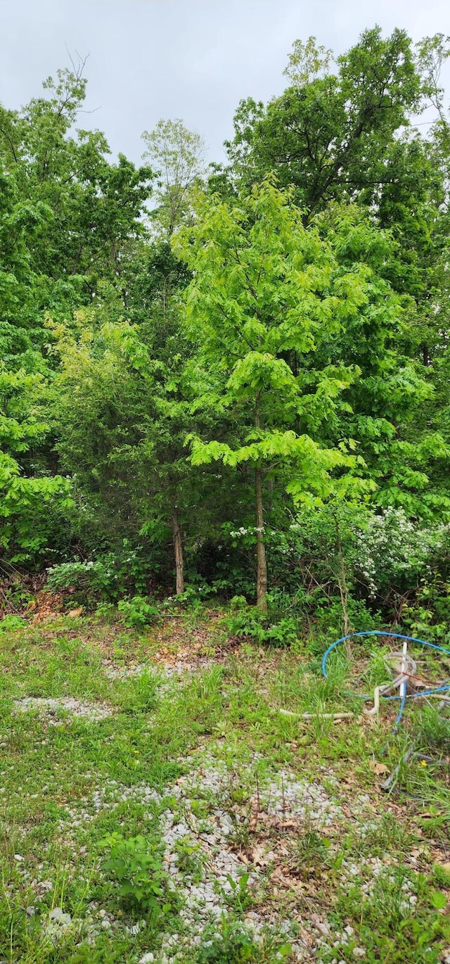 19879 Farm Rd Unit 1043, Exeter, MO 65647 - view of wooded area