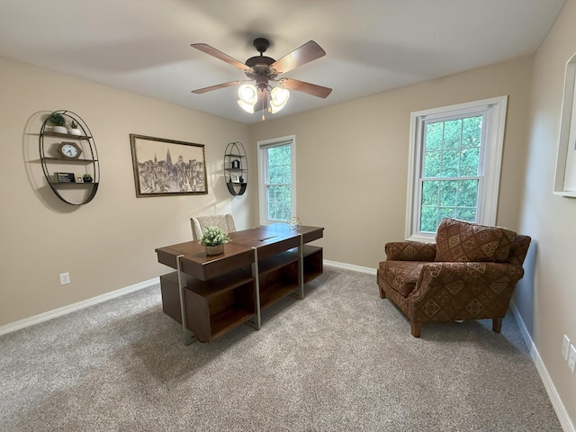 623 S Garden Way, Republic, MO 65738 - photo 19