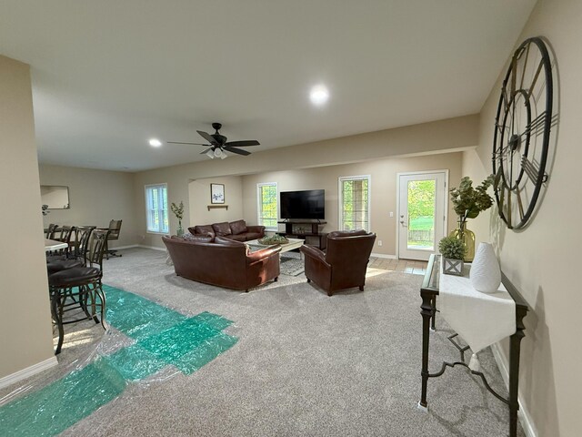 623 S Garden Way, Republic, MO 65738 - photo 24