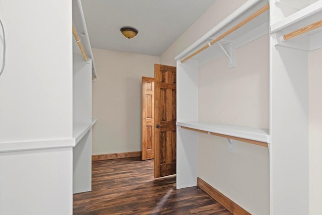 1602 E Fairwind, Ozark, MO 65721 - walk in closet featuring dark wood-type flooring