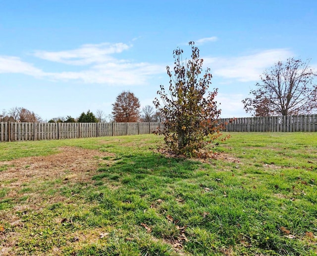 1602 E Fairwind, Ozark, MO 65721 - view of yard
