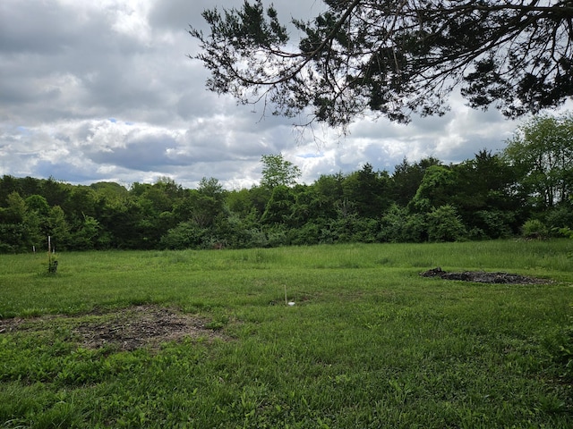 1100 County Road 8270, West Plains, MO 65775 - view of yard with a wooded view
