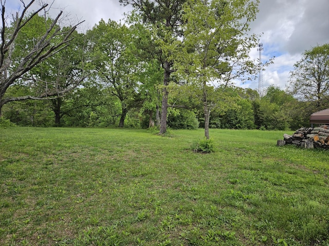 1100 County Road 8270, West Plains, MO 65775 - view of grassy yard