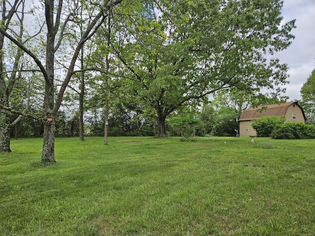 1100 County Road 8270, West Plains, MO 65775 - view of green lawn