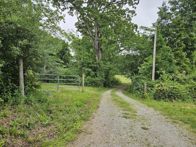 1100 County Road 8270, West Plains, MO 65775 - view of street